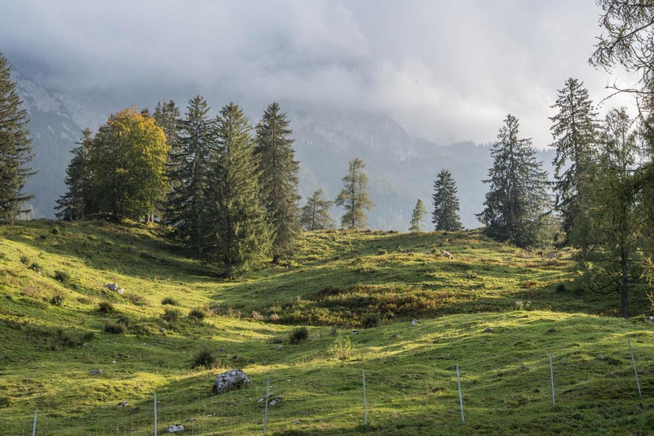 Aschaubichl - Wohnung Enzian Grainau Bagian luar foto